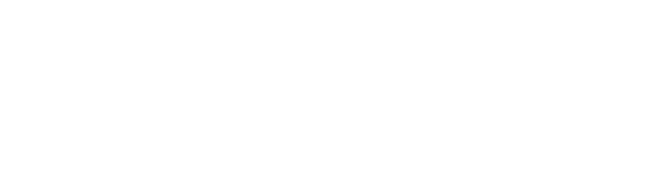 University_of_Texas_at_Austin_logo