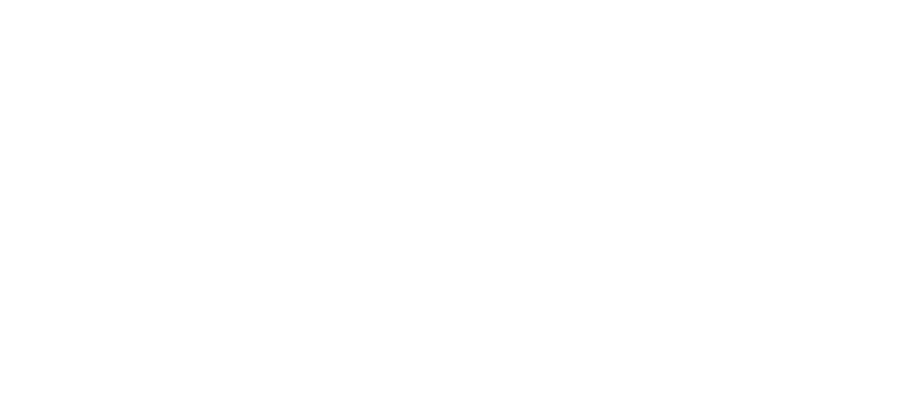 sici-center-for-public-leadership-white